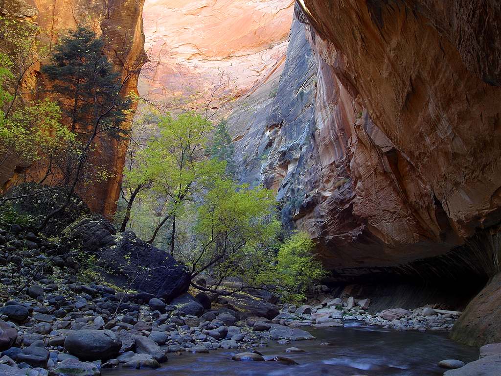 The Narrows in Zion, a stop on highway 89